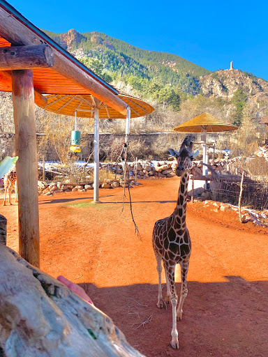 Zoo «Cheyenne Mountain Zoo», reviews and photos, 4250 Cheyenne Mountain Zoo Rd, Colorado Springs, CO 80906, USA
