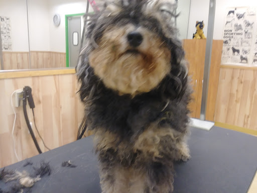 Pet Supply Store «Pet Supplies Plus», reviews and photos, 4751 Hiawatha Ave, Minneapolis, MN 55406, USA