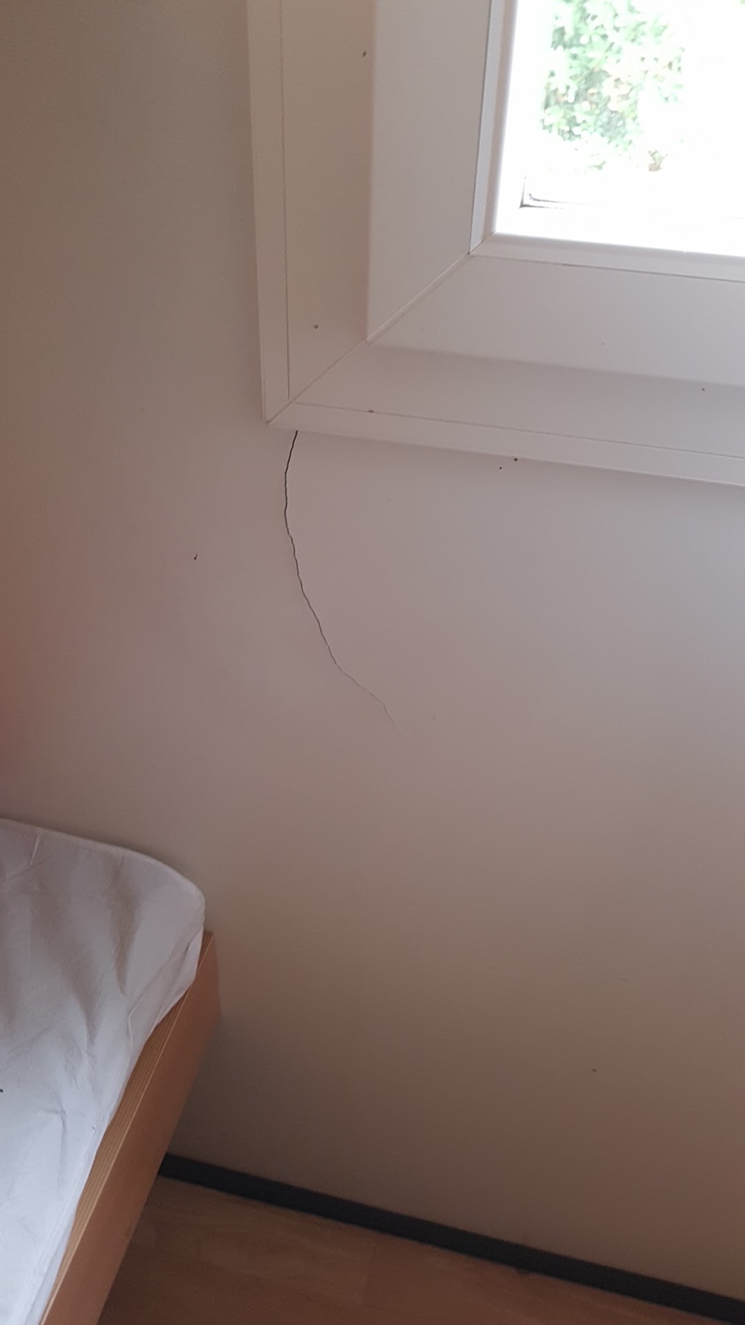 Photo n° 1 de l'avis de Clément.e fait le 10/06/2019 à 07:12