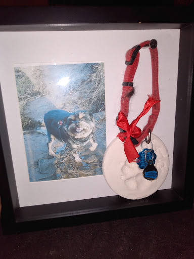 Pet Store «Bowwow Meow», reviews and photos, 456 SW Bay Blvd, Newport, OR 97365, USA