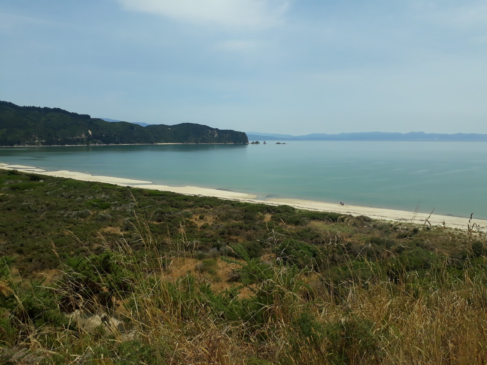 Wainui Beach的照片 带有长湾