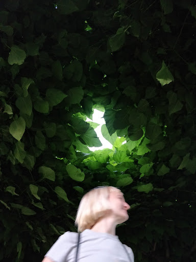 Community Center «Peninsula Park Community Center», reviews and photos, 700 N Rosa Parks Way, Portland, OR 97217, USA