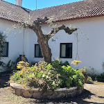Photo n°23 de l'avis de LINA.H fait le 15/04/2022 à 00:44 sur le  Quinta do Caçador à Estremoz