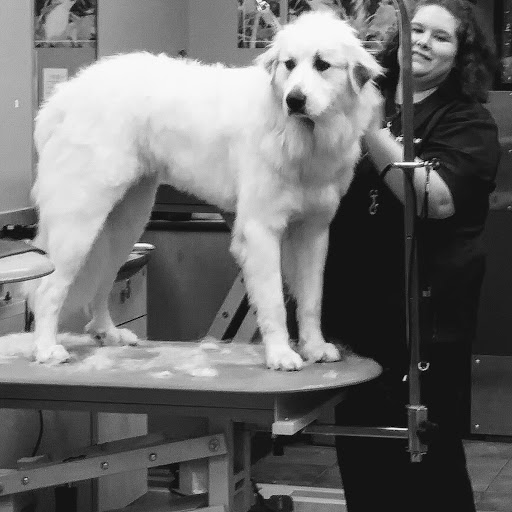 Pet Supply Store «PetSmart», reviews and photos, 916 Loganville Hwy, Bethlehem, GA 30620, USA