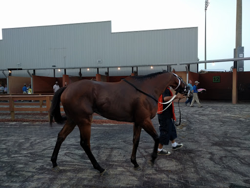 Casino «Evangeline Downs Racetrack & Casino», reviews and photos, 2235 Cresswell Lane Extension, Opelousas, LA 70570, USA