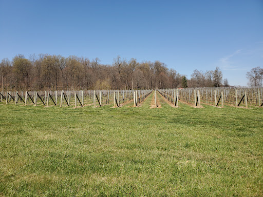 Winery «Sugarloaf Mountain Vineyard», reviews and photos, 18125 Comus Rd, Dickerson, MD 20842, USA