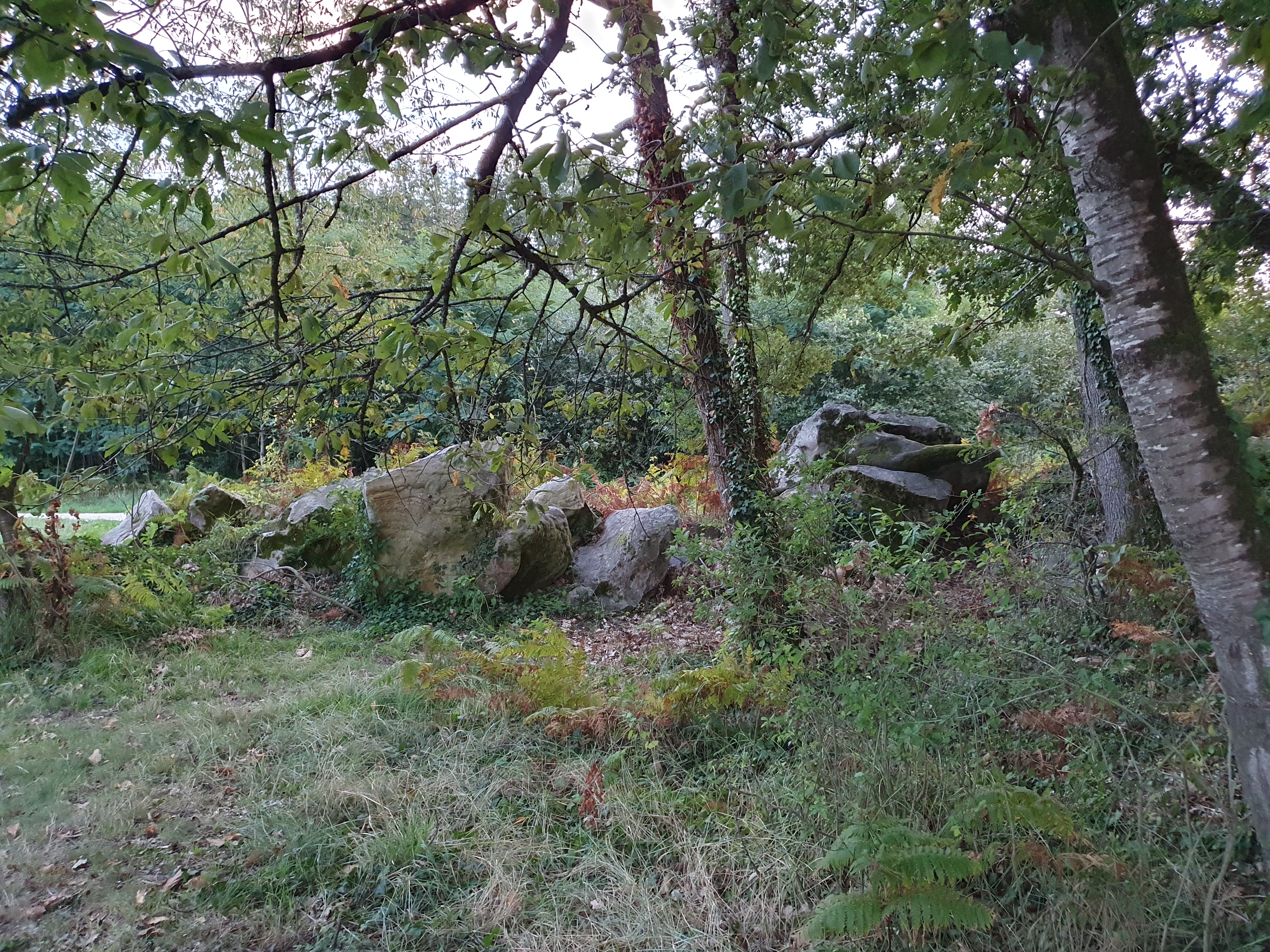 Photo n° 10 de l'avis de Olivier.O fait le 16/09/2023 à 18:27