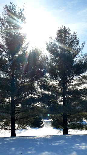 Lodge «The Lodge at Liberty Forge», reviews and photos, 3804 Lisburn Rd, Mechanicsburg, PA 17055, USA