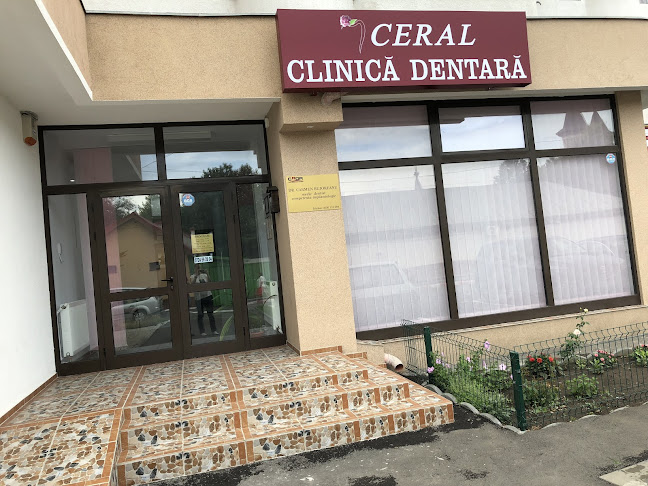 Clinica Ceral