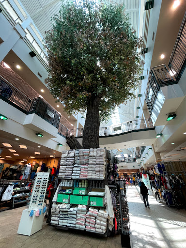 Sporting Goods Store «SCHEELS», reviews and photos, 101 Jordan Creek Pkwy #4000, West Des Moines, IA 50266, USA