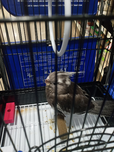 Pet Supply Store «PetSmart», reviews and photos, 916 Loganville Hwy, Bethlehem, GA 30620, USA