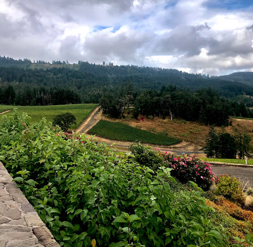 Winery «Colene Clemens Vineyards», reviews and photos, 22501 NE Dopp Rd, Newberg, OR 97132, USA