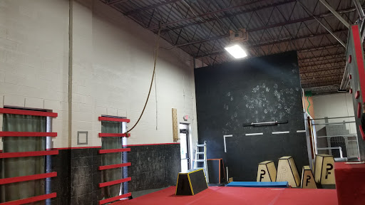 Gym «Phoenix Freerunning Academy», reviews and photos, 12936 Farmington Rd, Livonia, MI 48150, USA