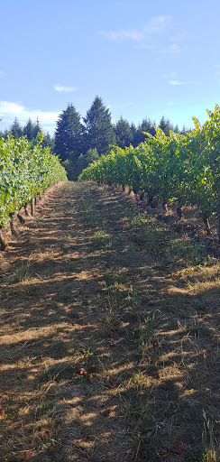 Winery «Patton Valley Vineyard», reviews and photos, 9449 SW Old Highway 47, Gaston, OR 97119, USA