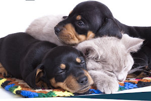 Pet Stop Veterinary Clinic image