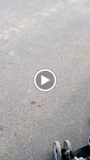 Performing Arts Theater «Milton Performing Arts Center», reviews and photos, 1 Pumpkin Way, Milton, WV 25541, USA