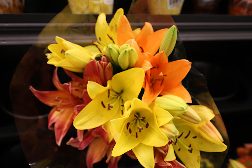 Grocery Store «Food Lion», reviews and photos, 5021 Trotwood Ave Ste 7, Columbia, TN 38401, USA