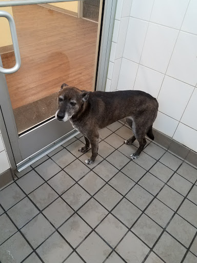 Pet Supply Store «PetPeople», reviews and photos, 3330 Washtenaw Ave, Ann Arbor, MI 48104, USA