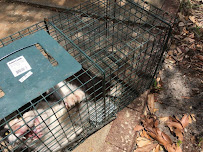 Total Animal Control - Photo 1 - Car repair in , Clearwater