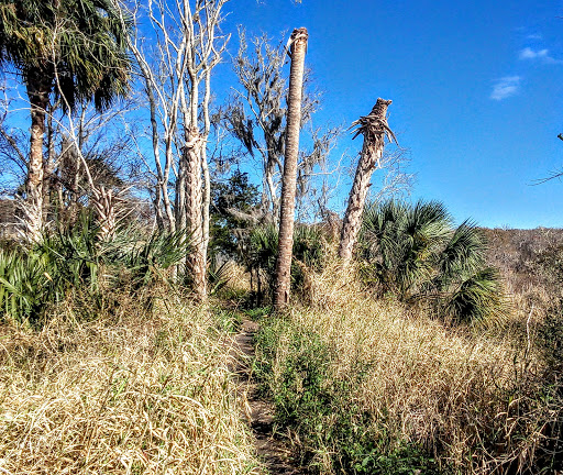 Tourist Attraction «Black Bear Wilderness Trailhead», reviews and photos, 5298 Michigan Ave, Sanford, FL 32771, USA