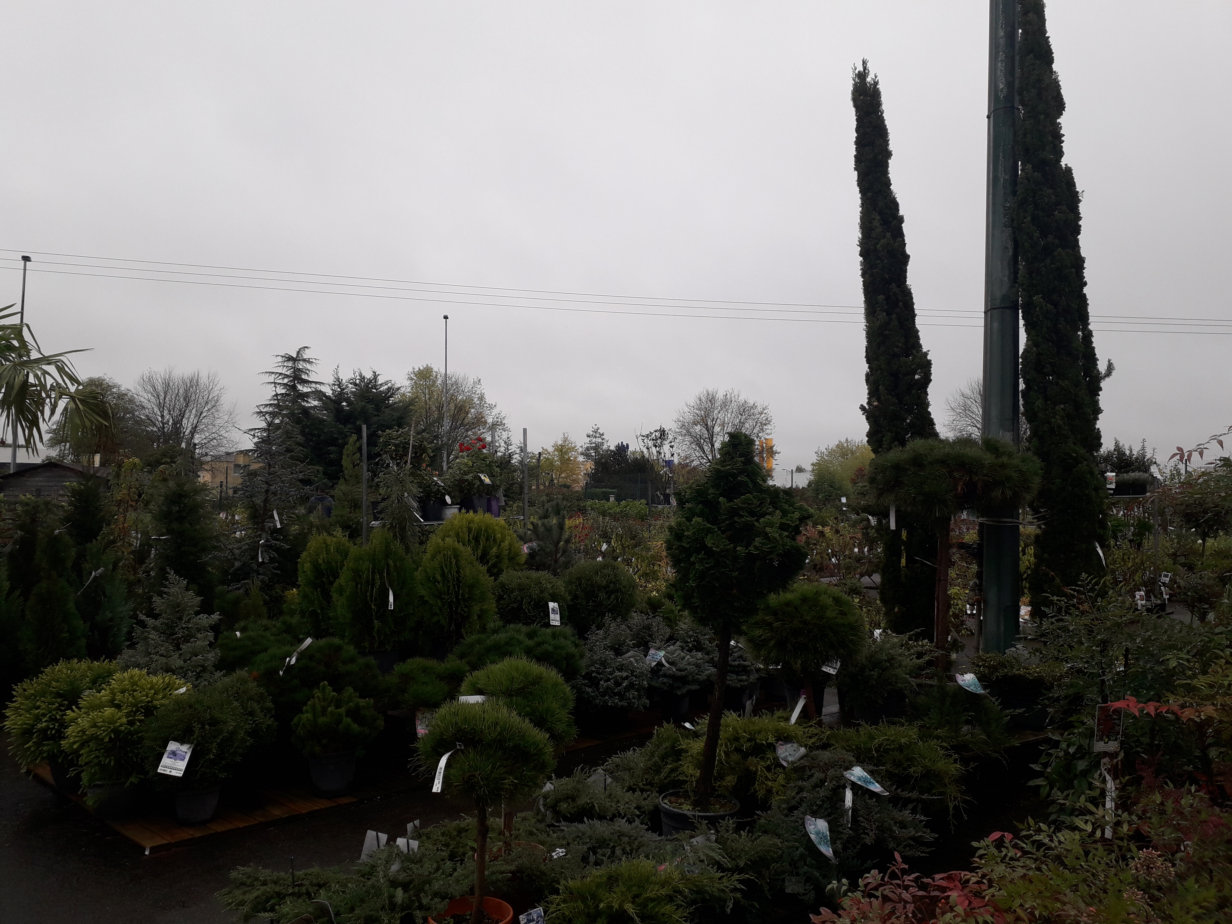 Photo n° 10 de l'avis de Gilles.a fait le 20/10/2019 à 15:43