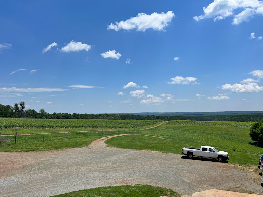 Winery «Blenheim Vineyards», reviews and photos, 31 Blenheim Farm, Charlottesville, VA 22902, USA