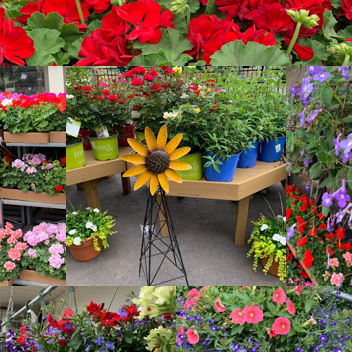 Hardware Store «Harleysville Ace Hardware», reviews and photos, 467 Main St, Harleysville, PA 19438, USA