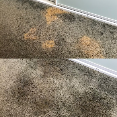 Revive Carpet Dyeing