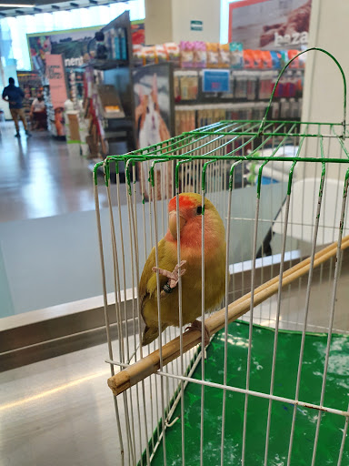 Petco Cancún