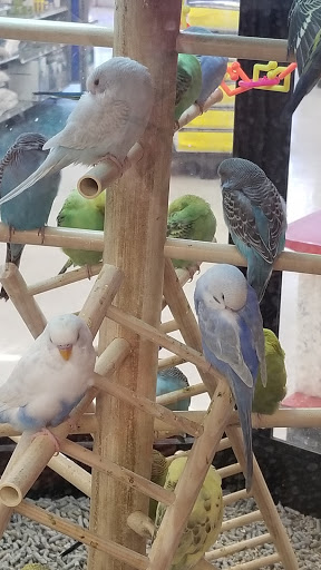 Pet Supply Store «Petco Animal Supplies», reviews and photos, 181 North 545 West, West Bountiful, UT 84087, USA