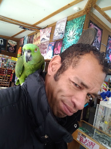 Boutique «Su Casa Boutique», reviews and photos, 1041 N Cedar St, Lansing, MI 48906, USA