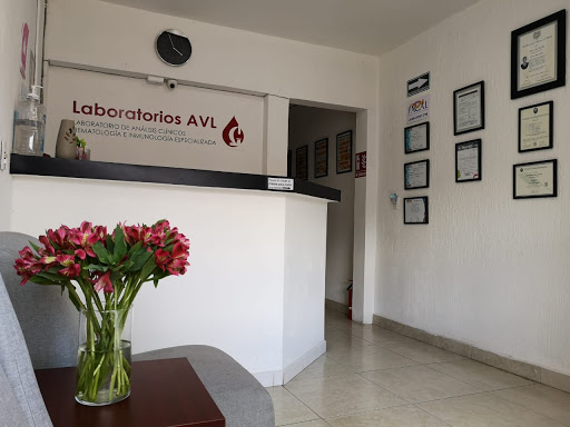 Laboratorios AVL (Matriz)