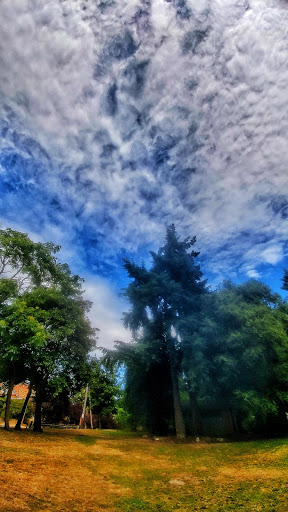 Park «Salmon Bay Park», reviews and photos, 2001 NW Canoe Pl, Seattle, WA 98117, USA