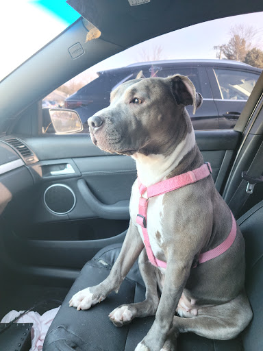 Car Wash «Off Shore Car Wash», reviews and photos, 201 S New Rd, Absecon, NJ 08201, USA