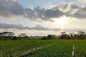 Bongkasa Rice Terrace image