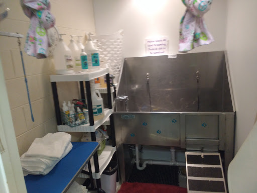 Pet Store «Unleashed, The Dog & Cat Store», reviews and photos, 2066 Kildaire Farm Rd, Cary, NC 27518, USA