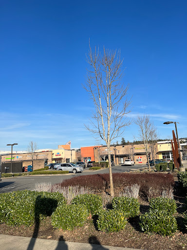 Shopping Mall «Grand Ridge Plaza», reviews and photos, 1451 Highlands Dr NE, Issaquah, WA 98029, USA