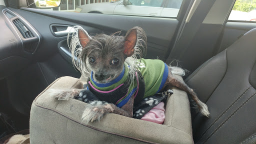 Tobacco Shop «Discount Tobacco», reviews and photos, 3631 Peachtree Industrial Blvd #103, Duluth, GA 30096, USA