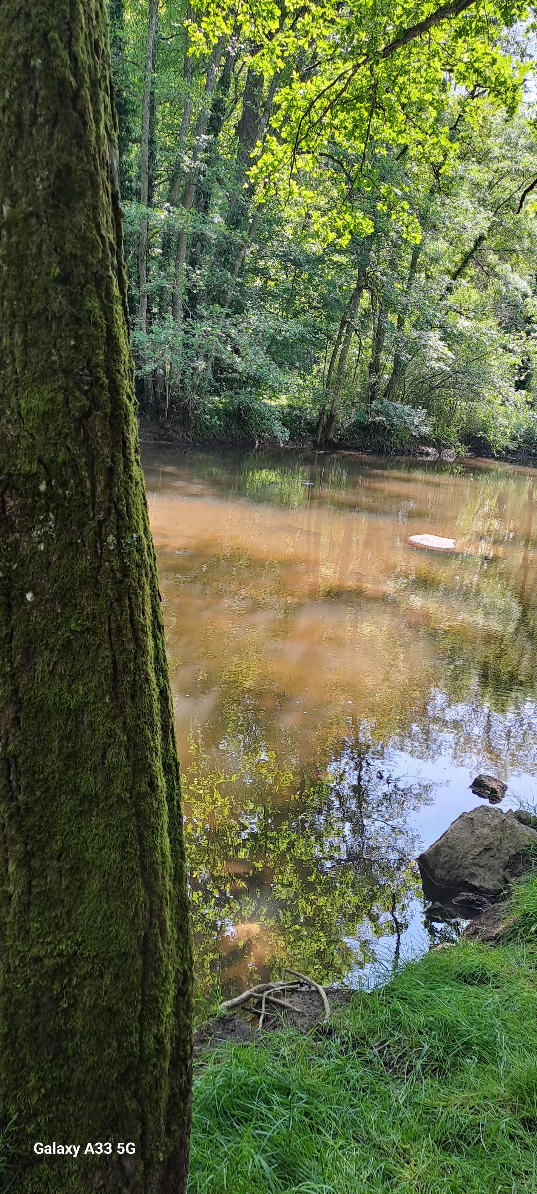 Photo n° 5 de l'avis de Berangere.a fait le 01/06/2023 à 11:20