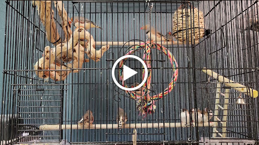 Pet Store «Zookeeper Exotics», reviews and photos, 9012 Research Blvd, Austin, TX 78758, USA