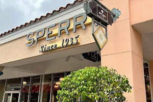 Sperry Outlet image