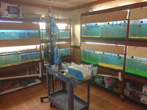 Pet Store «El Palomar Pet Shop Inc», reviews and photos, 4712 W Flagler St, Coral Gables, FL 33134, USA