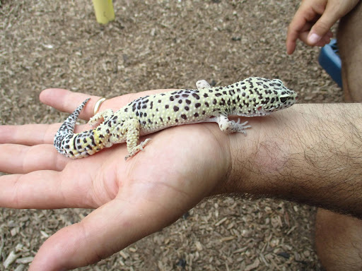 Preschool «All Day Learning Centers», reviews and photos, 170 Township Line Rd, Hillsborough Township, NJ 08844, USA