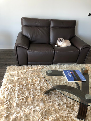 Furniture Store «Art Van Furniture - Batavia», reviews and photos, 165 N Randall Rd, Batavia, IL 60510, USA