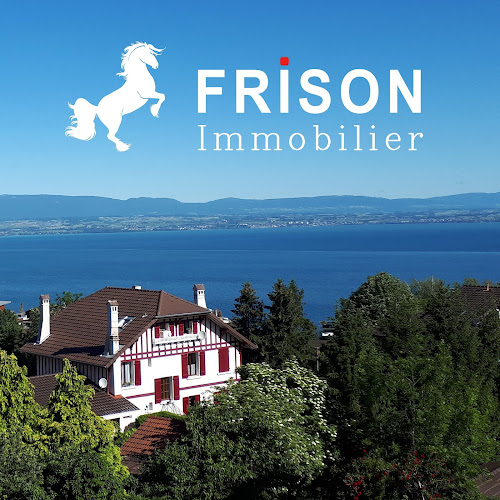 Agence immobilière Evian FRISON immobilier à Champanges