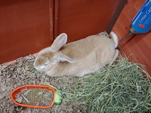 Pet Store «Greenwood Pets & Plants», reviews and photos, 13983 E 9 Mile Rd, Warren, MI 48089, USA