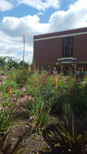 Movie Theater «McMenamins Anderson School Theater», reviews and photos, 18607 Bothell Way NE, Bothell, WA 98011, USA