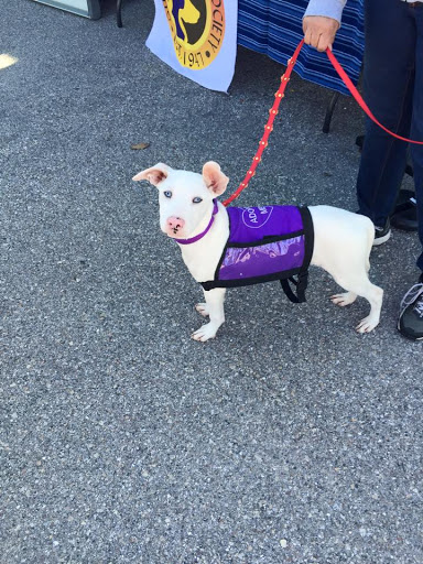 Pet Supply Store «Island Paws», reviews and photos, 630 Tarpon Bay Rd # 5, Sanibel, FL 33957, USA