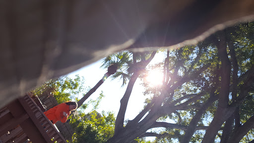 Golf Course «Rocky Point Golf Course», reviews and photos, 4151 Dana Shores Dr, Tampa, FL 33634, USA