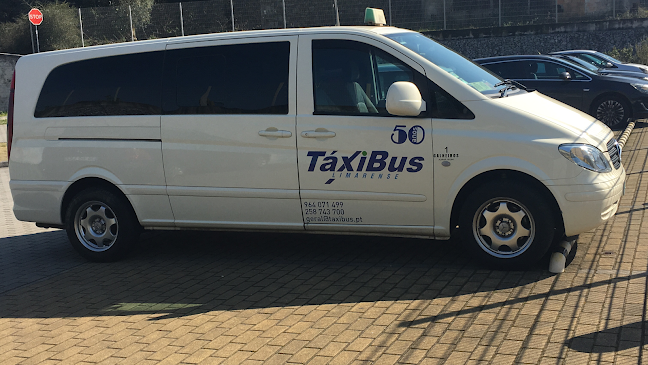 Comentários e avaliações sobre o TaxiBus Limarense